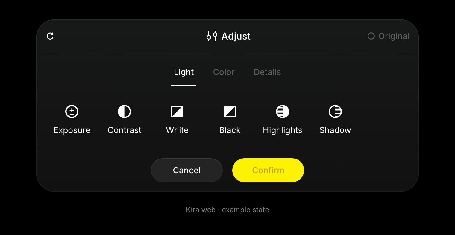 The actual Adjust panel shows Light, Color, and Details tabs and the available Light adjustment controls