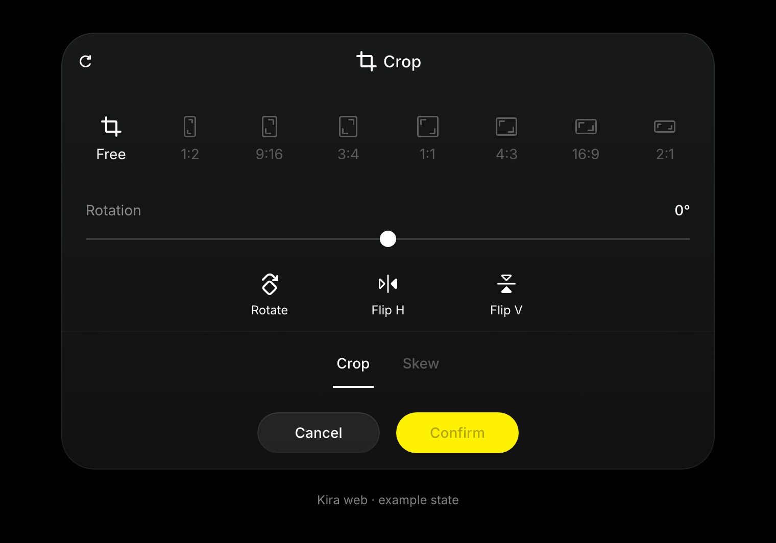 Crop controls show Free and fixed aspect ratios, Rotation, flip controls, and the Crop and Skew tabs